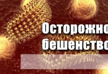 В Алтайском крае сохраняется напряженная обстановка по бешенству среди животных
