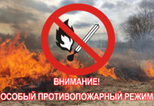 Особый противопожарный режим введен в Алтайском крае