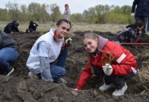 Еще одно лесничество Алтайского края присоединилось к Международной патриотической акции «Сад памяти»