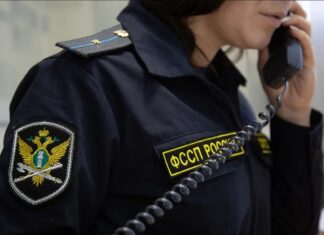 Жители Алтайского края смогут получить консультации по алиментам по телефону горячей линии
