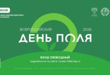 «Всероссийский день поля – 2026» представит передовые достижения российского АПК