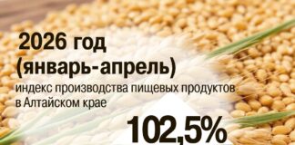 Индекс производства пищевых продуктов в Алтайском крае сохраняет положительную динамику