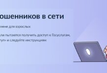 На портале госуслуг жителям Алтайского края доступен сервис «Защита от мошенников в Сети»